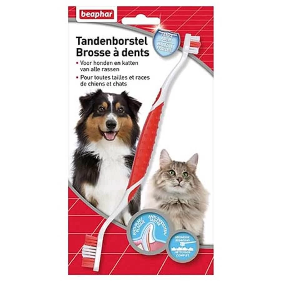 Beaphar Brosse à Dents Chien & Chat 3 Beaphar Brosse à Dents Chien & Chat