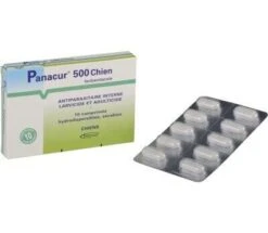 Panacur 500 Chien 10 Cps
