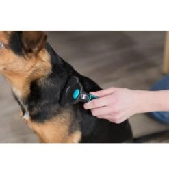 Trixie Brosse Carde Chien 7 X 15 Cm -Animalerie 260940 pho pro use 24171 1