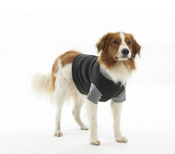 Buster Body Suit Chien XL 4 Buster Body Suit Chien XL – Image 2
