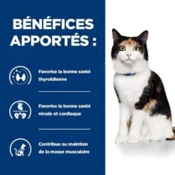 Hill's Prescription Diet Feline Y/D 1.5 Kg 10 Hill's Prescription Diet Feline Y/D 1.5 Kg -Animalerie 52742042503 4 prescription diet chat y d croquettes poulet 2