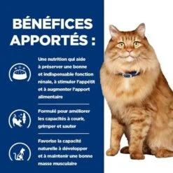 Hill's Prescription Diet Feline K/D + Mobility 12 X 85 G 12 Hill's Prescription Diet Feline K/D + Mobility 12 X 85 G -Animalerie 52742044767 4 prescription diet chat k d mobility croquettes poulet