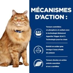 Hill's Prescription Diet Feline K/D + Mobility 12 X 85 G 13 Hill's Prescription Diet Feline K/D + Mobility 12 X 85 G -Animalerie 52742044767 5 prescription diet chat k d mobility croquettes poulet