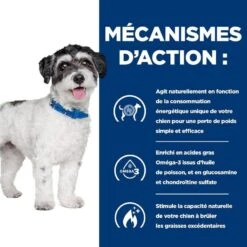 Hill's Prescription Diet Canine J/D Metabolic + Mobility Mini 1 Kg 8 Hill's Prescription Diet Canine J/D Metabolic + Mobility Mini 1 Kg -Animalerie 52742045269 4 prescription diet chien metabolic mobility mini croquettes poulet