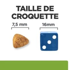 Hill's Prescription Diet Canine J/D Metabolic + Mobility Mini 6 Kg -Animalerie 52742045269 5 prescription diet chien metabolic mobility mini croquettes poulet 1 1