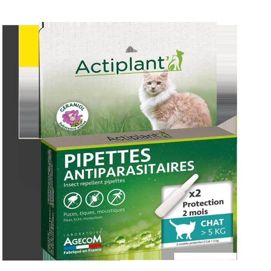 Actiplant Pipettes Antiparasitaires Chat >5 Kg X2 4 Actiplant Pipettes Antiparasitaires Chat >5 Kg X2 – Image 2