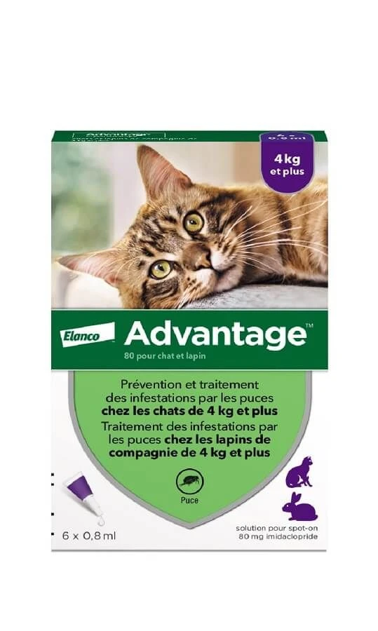 Advantage 80 Chat Et Lapin De + De 4 Kg Pipettes X6 4 Advantage 80 Chat Et Lapin De + De 4 Kg Pipettes X6 – Image 2