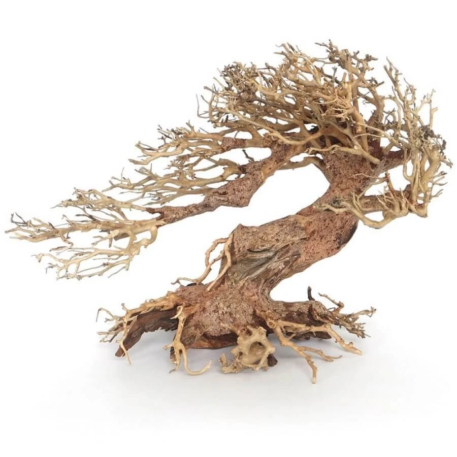 Amtra Bois Oriental Wind 3 MD 3 Amtra Bois Oriental Wind 3 MD