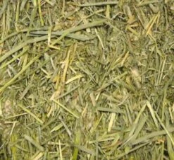 Beaphar Care+ Foin De Phléoles « Timothy Hay » 1 Kg 7 Beaphar Care+ Foin De Phléoles « Timothy Hay » 1 Kg -Animalerie beaphar foin de phle oles timothy hay care 1 kg2