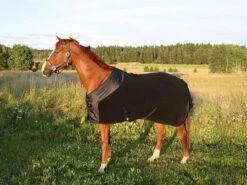 Chemise Polaire Supreme Back On Track 165 Cm - Destockage 7 Chemise Polaire Supreme Back On Track 165 Cm - Destockage -Animalerie chemise polaire supreme back on track 2 4 2