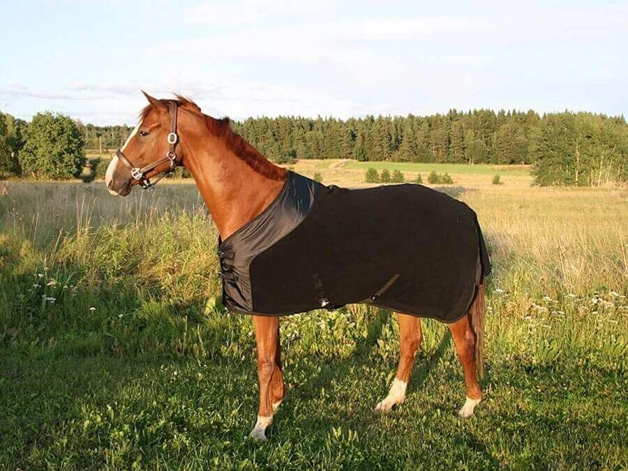 Chemise Polaire Supreme Back On Track 165 Cm - Destockage 5 Chemise Polaire Supreme Back On Track 165 Cm - Destockage – Image 3