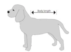 Buster Body Suit Chien XL 7 Buster Body Suit Chien XL -Animalerie chien 1 2 1 1 1 1 1 1