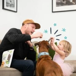 Edgard & Cooper Mach'sticks Pomme Et Eucalyptus Grand Chien 240 G 12 Edgard & Cooper Mach'sticks Pomme Et Eucalyptus Grand Chien 240 G -Animalerie chien dental adulte naturel eucalyptus pomme 240g 3