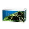 Ciano Aquarium 60 LED Blanc - Destockage -Animalerie ciano aquarium 60 led blanc