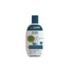 Ciano Water Bio-Bact 100 Ml -Animalerie ciano water bio bact 100 ml