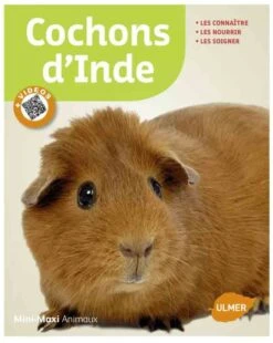 Livre - Cochons D'Inde