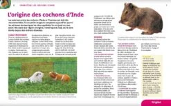 Livre - Cochons D'Inde 8 Livre - Cochons D'Inde -Animalerie cochons d inde3