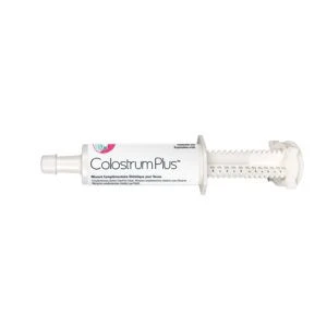 Colostrum Plus Pate 1 Seringue 60ml 4 Colostrum Plus Pate 1 Seringue 60ml – Image 2