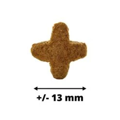 Dogteur Premium Low Grain Chats D’intérieur Volaille 450 G 11 Dogteur Premium Low Grain Chats D’intérieur Volaille 450 G -Animalerie dogteur croquettes chats da inta rieur volaille 450 g 6