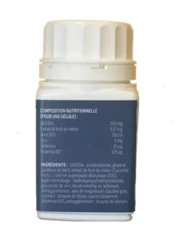 Dogteur Senior Protect 60 Gélules -Animalerie dogteur senior protect dos