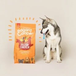 Edgard & Cooper Sans Céréales Au Poulet Frais Chien Adulte 2,5 Kg -Animalerie edgard cooper croquettes sans c r ales au poulet frais pour chien adulte 1