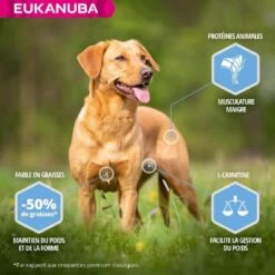 Eukanuba Chien Daily Care Adult Overweight Grande Race Poulet 12 Kg 9 Eukanuba Chien Daily Care Adult Overweight Grande Race Poulet 12 Kg -Animalerie eukanuba daily care weight control large breed 1