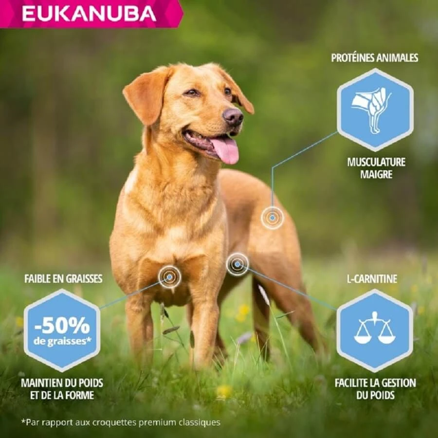 Eukanuba Chien Daily Care Adult Overweight Grande Race Poulet 12 Kg 6 Eukanuba Chien Daily Care Adult Overweight Grande Race Poulet 12 Kg – Image 4