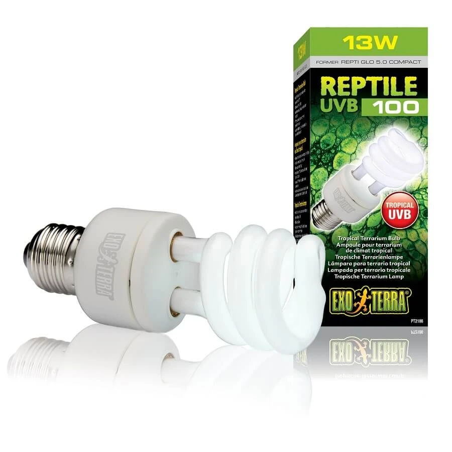 Exo Terra Ampoule Terrarium UVB 100 13 W 4 Exo Terra Ampoule Terrarium UVB 100 13 W – Image 2