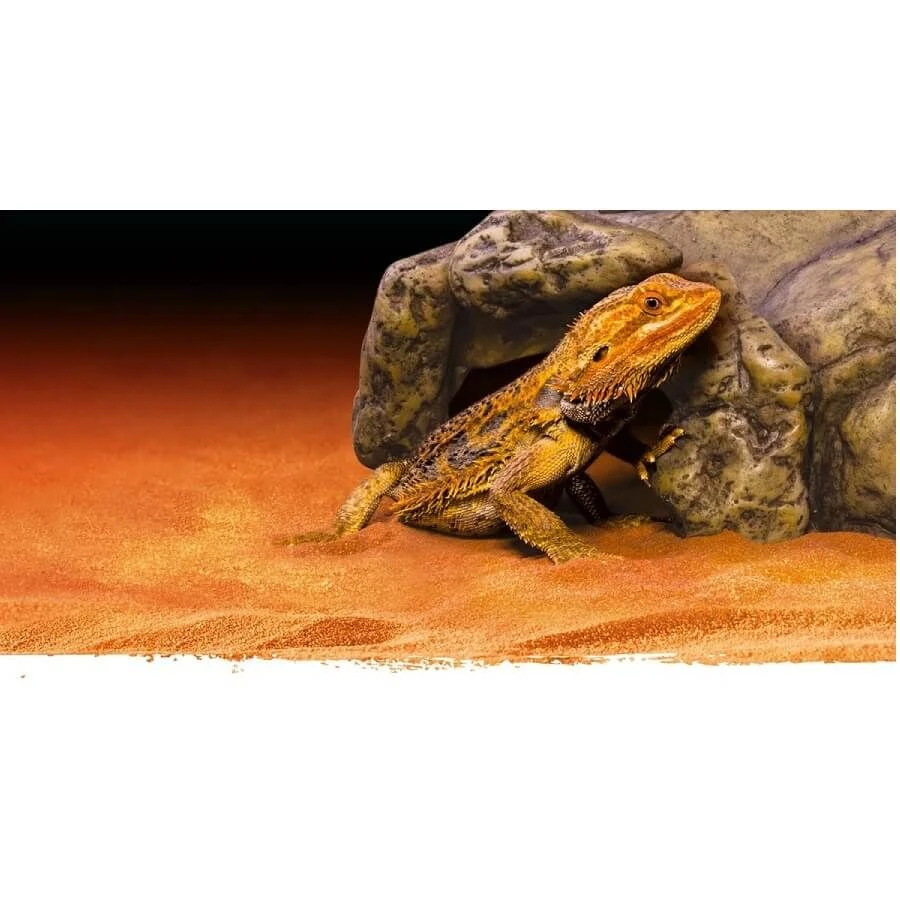 Exo Terra Grotte Reptile S 4 Exo Terra Grotte Reptile S – Image 2