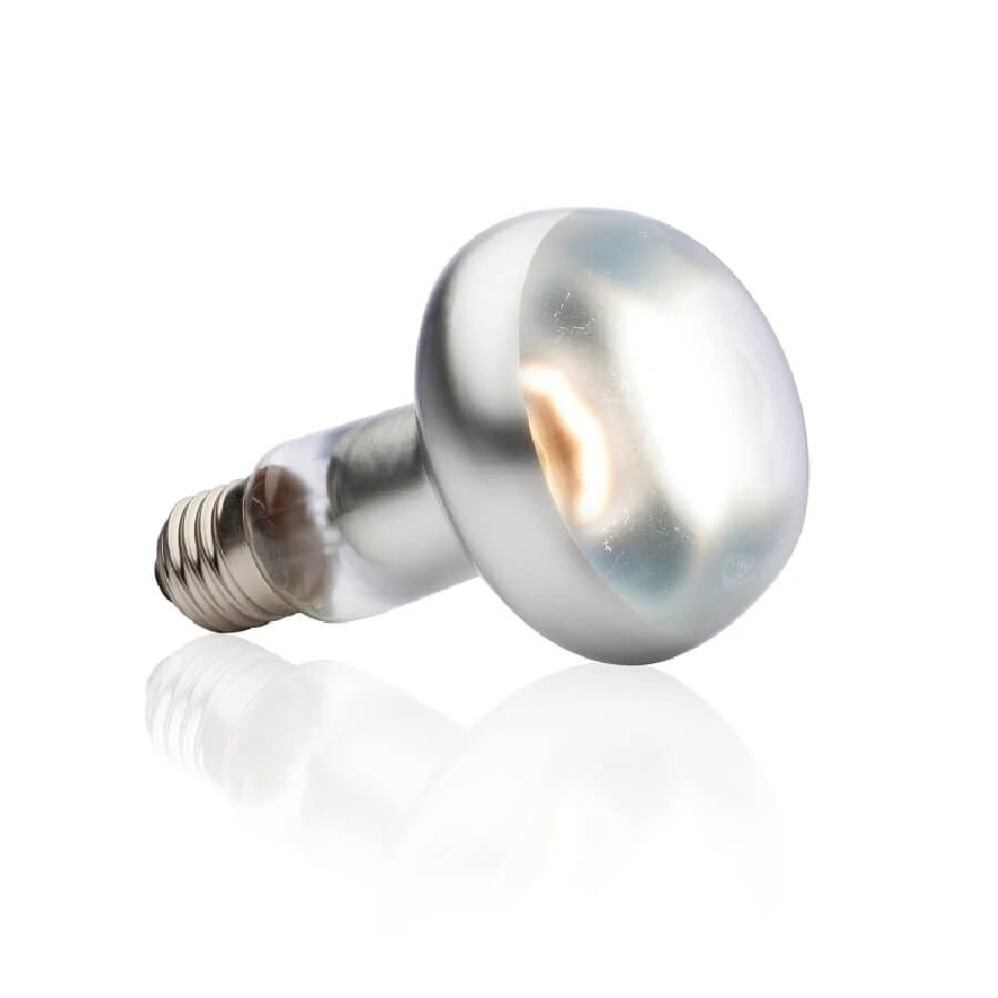 Exo Terra Lampe Intense à Vis Pour Terrarium 100 W 4 Exo Terra Lampe Intense à Vis Pour Terrarium 100 W – Image 2