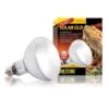 Exo Terra Lampe Solar Glo à Vis Pour Terrarium 125 W 2 Exo Terra Lampe Solar Glo à Vis Pour Terrarium 125 W -Animalerie exo terra lampe solar glo vis pour terrarium 125 watts
