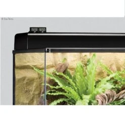 Exo Terra Thermomètre Digital Pour Terrarium -Animalerie exo terra thermom tre digital pour terrarium