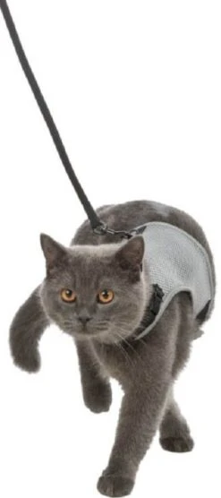 Trixie Harnais Soft Avec Laisse Pour Chat -Animalerie fefe