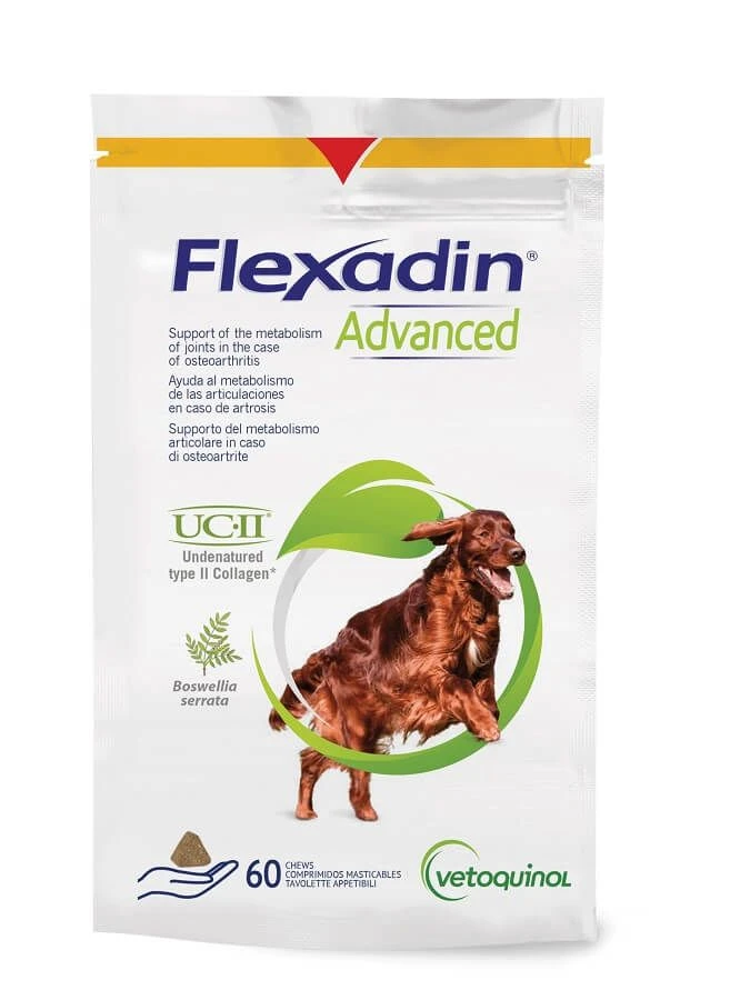 Flexadin Advanced Boswellia 60 Bouchées 3 Flexadin Advanced Boswellia 60 Bouchées