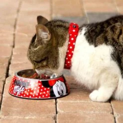 For Fan Pets Gamelle Minnie M 7 For Fan Pets Gamelle Minnie M -Animalerie for fan pets gamelle minnie m 3