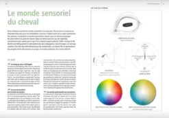 Livre - Gérer & éduquer Son Cheval Au Naturel -Animalerie ge rer e duquer son cheval au naturel3
