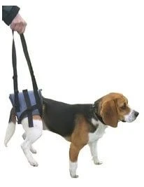 Harnais Handy Canis Pattes Arrières L