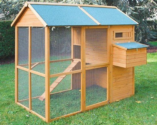 Poulailler Helsinki 3 Poulailler Helsinki