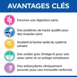 Hill's Science Plan VetEssentials Feline Adult Poulet 14 Kg 10 Hill's Science Plan VetEssentials Feline Adult Poulet 14 Kg -Animalerie hill s vetessentials feline adult poulet 14 kg3