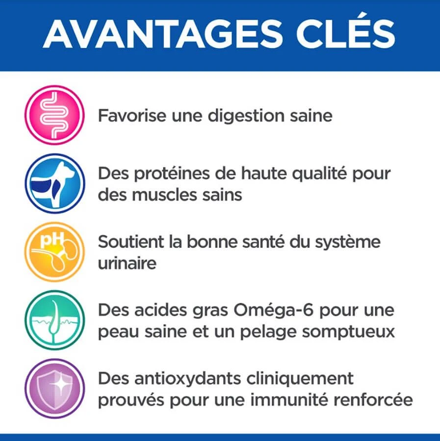 Hill's Science Plan VetEssentials Feline Adult Poulet 14 Kg 6 Hill's Science Plan VetEssentials Feline Adult Poulet 14 Kg – Image 4