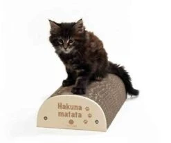 Homycat Griffoir "HAKUNA MATATA" - Destockage