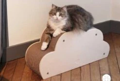 Homycat Griffoir Pour Chat Nuage - Destockage 7 Homycat Griffoir Pour Chat Nuage - Destockage -Animalerie homycat griffoir pour chat nuage3