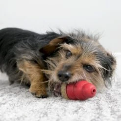 KONG Friandises Marathon Peanut Butter Pour Chien M 136 G 11 KONG Friandises Marathon Peanut Butter Pour Chien M 136 G -Animalerie kong friandises marathon chicken 1 2