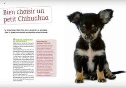 Livre - Bien Vivre Avec Mon Chihuahua -Animalerie livre bien vivre avec mon chihuahua3