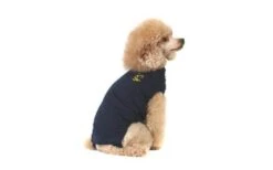 Medical Pet Shirt Chien XS
