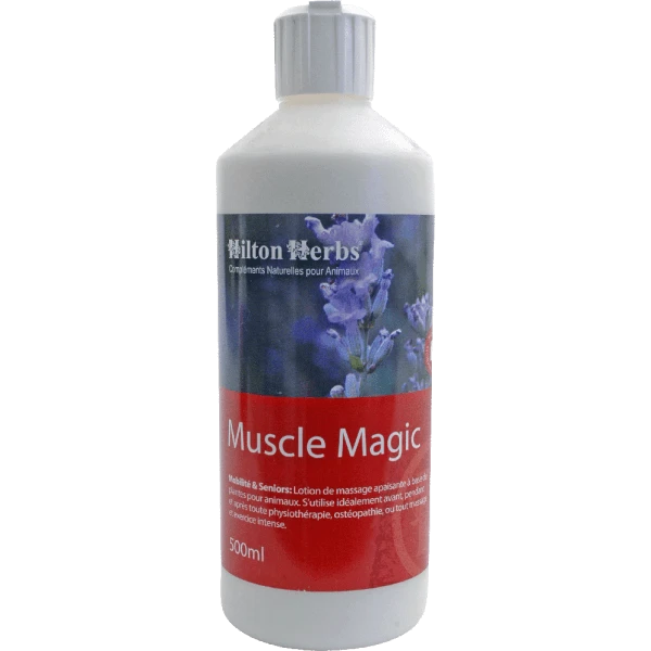 Hilton Herbs Muscle Magic Muscles Cheval 250 Ml 3 Hilton Herbs Muscle Magic Muscles Cheval 250 Ml