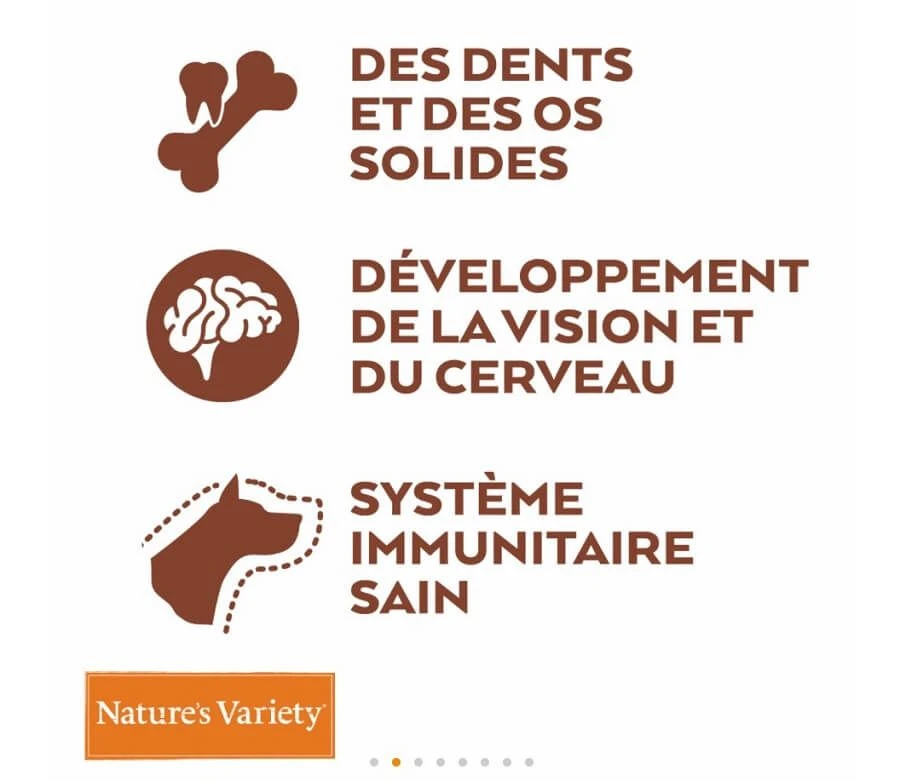 Nature's Variety Nature's Variety Croquettes Original No Grain Puppy/Junior Saumon 2 Kg - Destockage 4 Nature's Variety Nature's Variety Croquettes Original No Grain Puppy/Junior Saumon 2 Kg - Destockage – Image 2