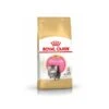Royal Canin Persian Kitten 4 Kg -Animalerie pers kit pack 1