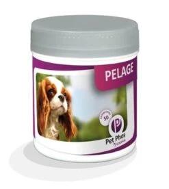 Pet Phos Pelage Chien 450 Cp