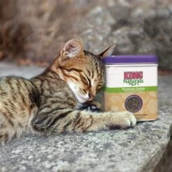 KONG Herbe A Chat Premium Catnip 9 KONG Herbe A Chat Premium Catnip -Animalerie picture2 1 1